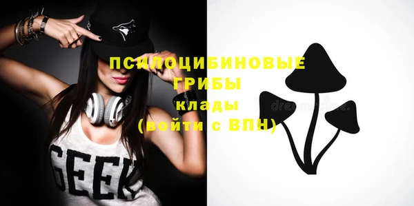 метадон Осташков