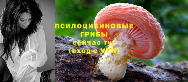 метадон Осташков