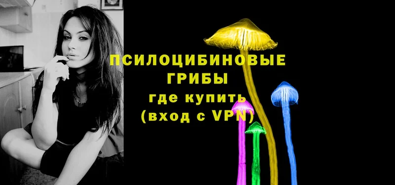 Псилоцибиновые грибы MAGIC MUSHROOMS  Ликино-Дулёво 